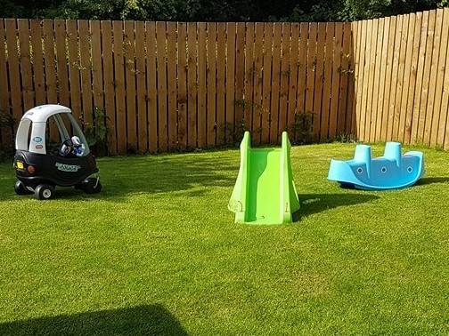 13295157_10154269658110337_743777273_n